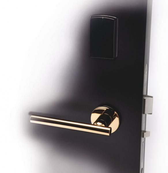 AElement_euro_black_door_4