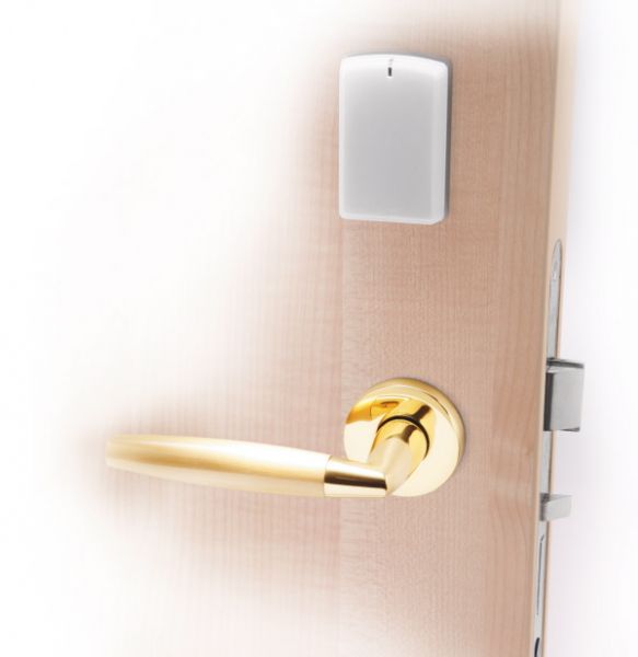 AElement_euro_mapple_door_4